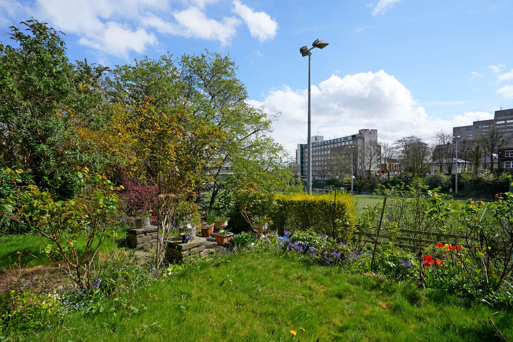 Marlborough Road Broomhill